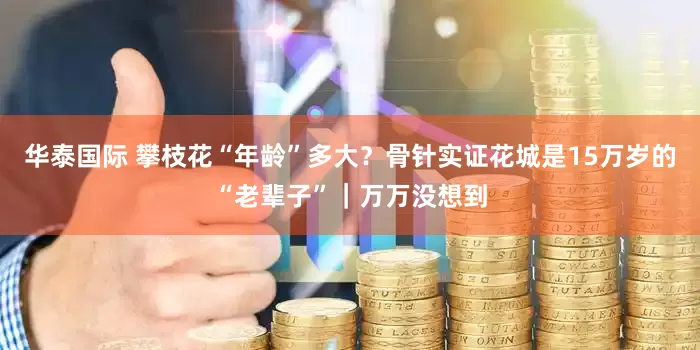 华泰国际 攀枝花“年龄”多大？骨针实证花城是15万岁的“老辈子”｜万万没想到